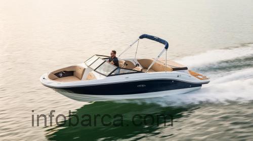 Sea Ray 21 SPX recensioni e scheda tecnica